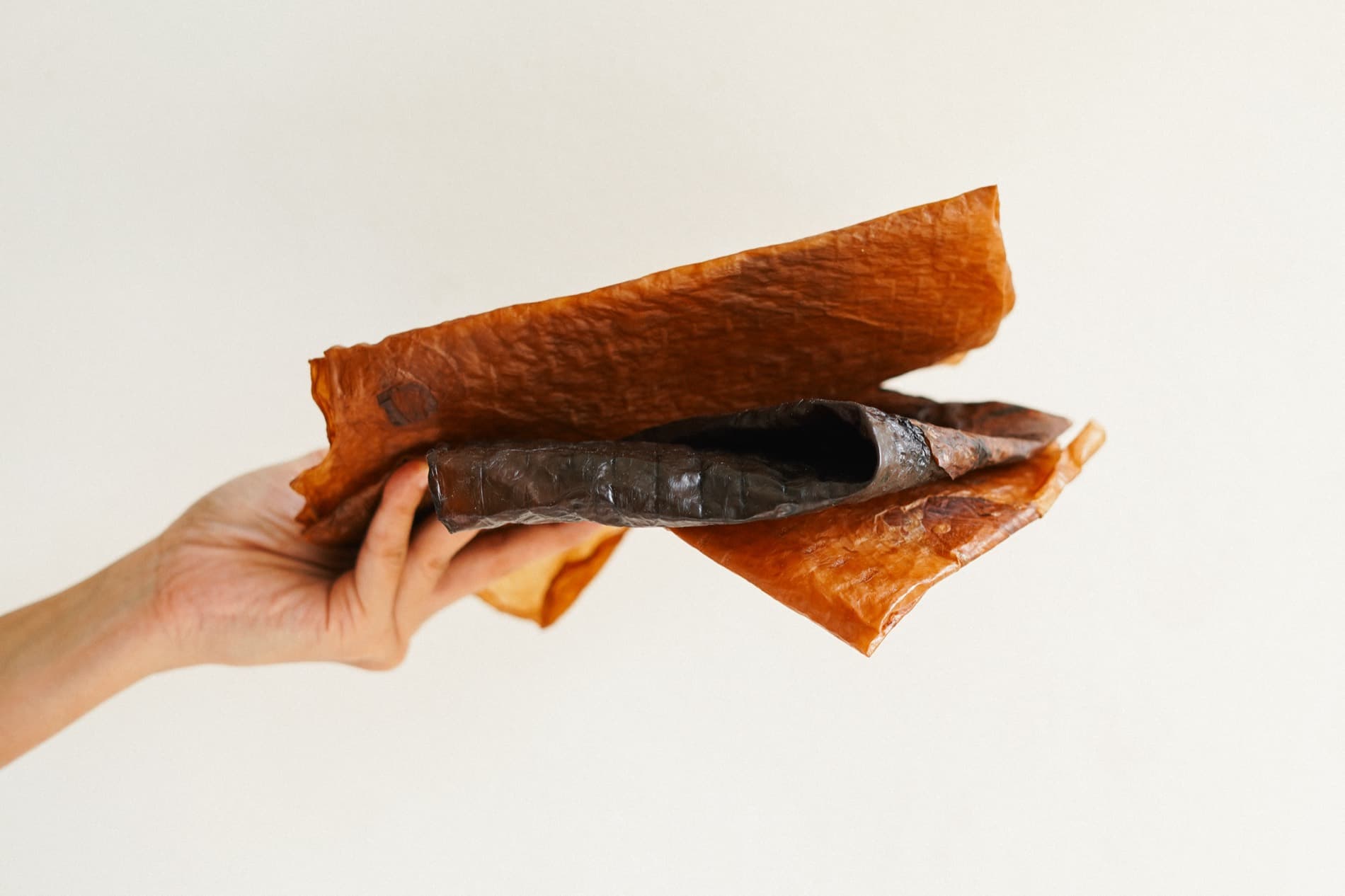 A sheet of Kombucha Bioleather falling into a fold, showing how it drapes