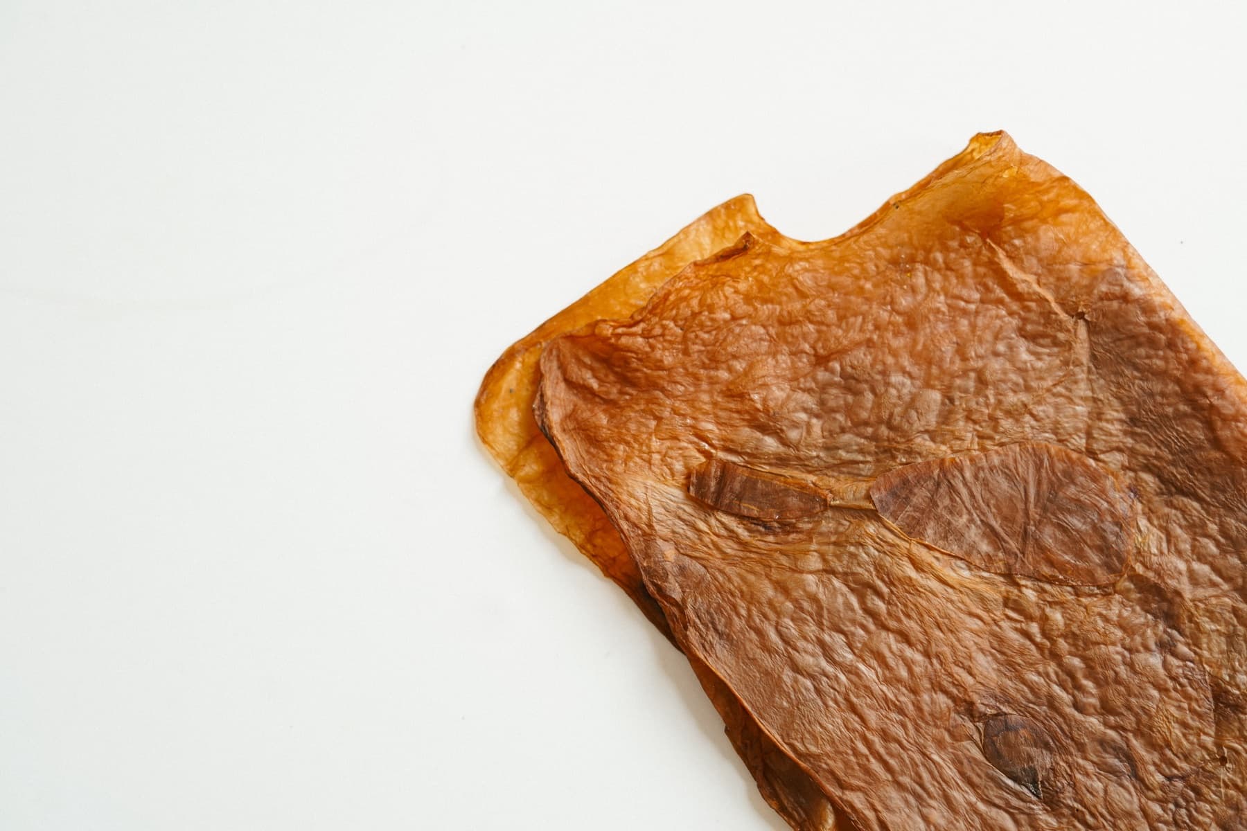 A single sheet of Kombucha Bioleather on a pale surface, its edges left as they grew