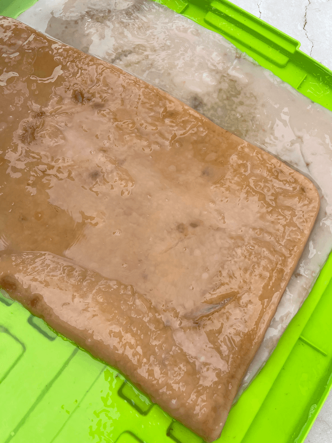 A wet harvested sheet laid flat on a green drying rack