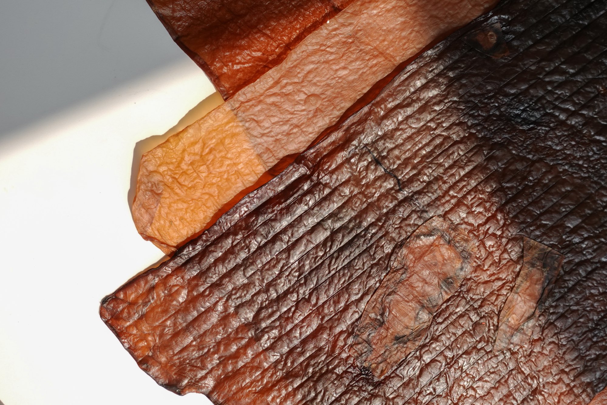 Sheets of Symbia Kombucha Bioleather, amber over near-black, showing the grain